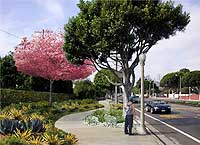 WSIA Landscape Vision Artist Rendering